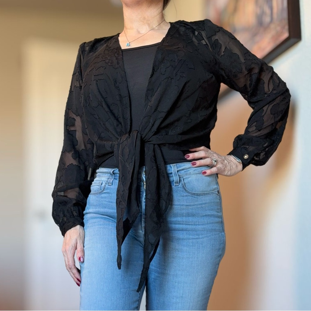 Susan Graver Black Sheer Tie-Front Blouse